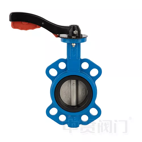 Care sunt caracteristicile valvelor de control